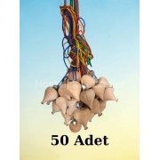 Geleneksel Eğlence: 50 Adet Boyanabilir Ağaç Topaç