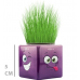 Mini Küp Emoji Figürlü Çim Adam 1 Adet